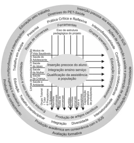 Figura 1. Estrutura e modelo teórico do PET-Saúde UFMG