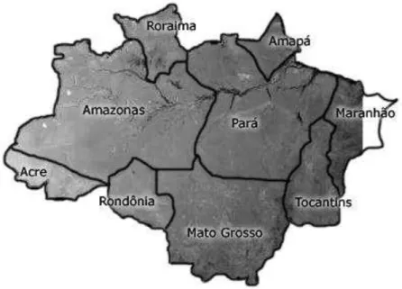 Figura 2 – Amazônia Legal 