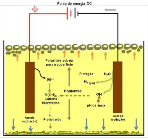 Figura 3.6 – Esquema do processo de floculação dos poluentes em  uma célula eletroquímica