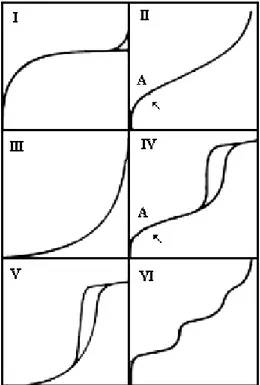 Figura 2.4 – Tipos de isotermas de acordo com a classificação da IUPAC (Gregg e Sing,  1982)