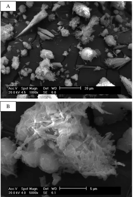Figura 5.10 – a) Micrografia do ZnPO com aumento de 1000x. b) Micrografia do ZnPO com  aumento de 5000x