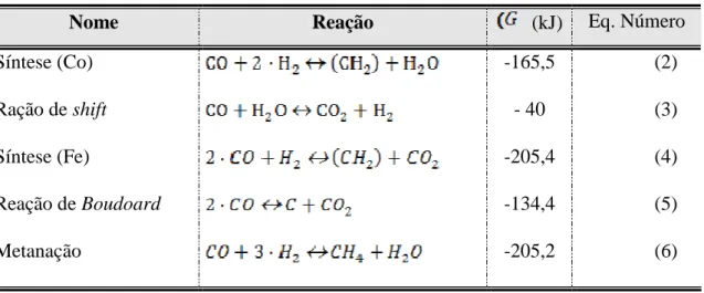 Tabela 2.3 - Reações decorrentes da síntese de FT 