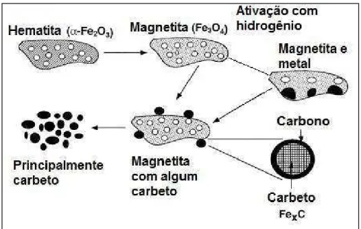 Figura 2.6 - Alterações na morfologia de magnetita durante reação de FT 