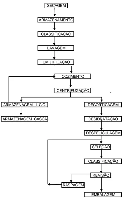 Figura 1: Fluxograma do processo produtivo de beneficiamento da castanha de caju. 