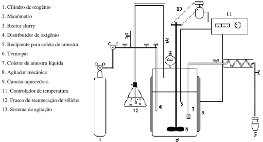 Figura 6: Módulo Experimental dos Ensaios de Oxidação Úmida Catalítica. 