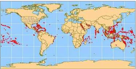 Figura 2.2 – Distribuição de corais no mundo - Fonte: http://www.coris.noaa.gov 