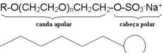 Figura 1. Molécula anfifílica do tensoativo lauril éter sulfato de sódio. 