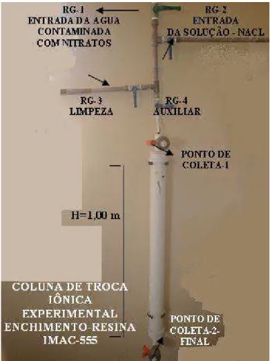 Figura 4.3  – Unidade experimental (coluna de troca iônica piloto) 