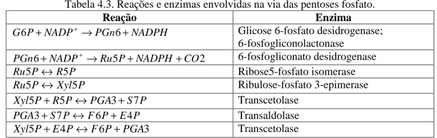 Tabela 4.3. Reações e enzimas envolvidas na via das pentoses fosfato. 