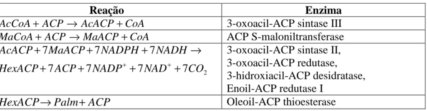 Tabela 4.11. Reações e enzimas envolvidas na biossíntese de ácidos graxos. 