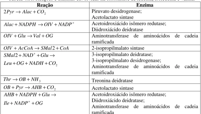 Tabela 4.16. Reações e enzimas envolvidas na biossíntese de leucina, isoleucina e valina