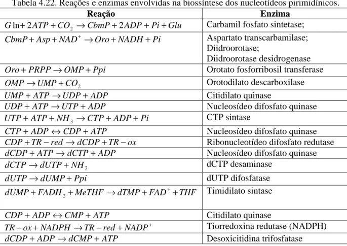 Tabela 4.22. Reações e enzimas envolvidas na biossíntese dos nucleotídeos pirimidínicos