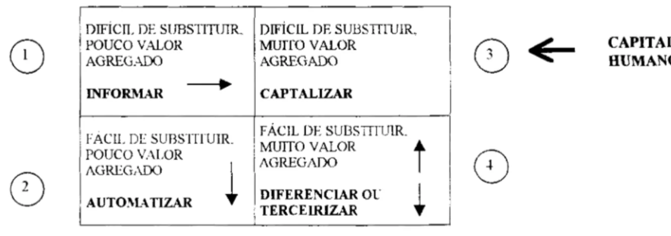 Figura 8: Classificação da Força de Trabalho 