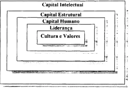 Figura 11:  Processo de Liderança de  uma Empresa 