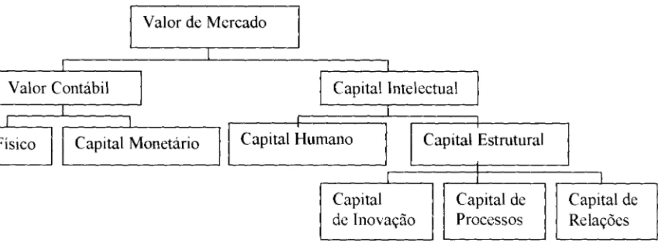 Figura 07:  Taxionomia  do  Capital Intelectual 