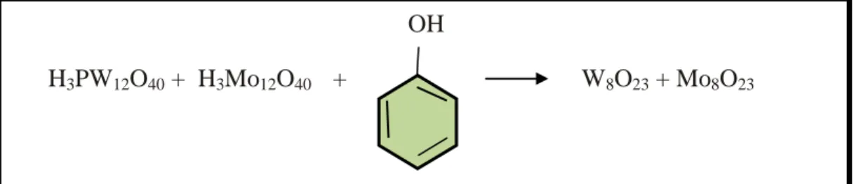 Figura 3.7: Quantificação de compostos fenólicos totais pelo reagente de Folin-