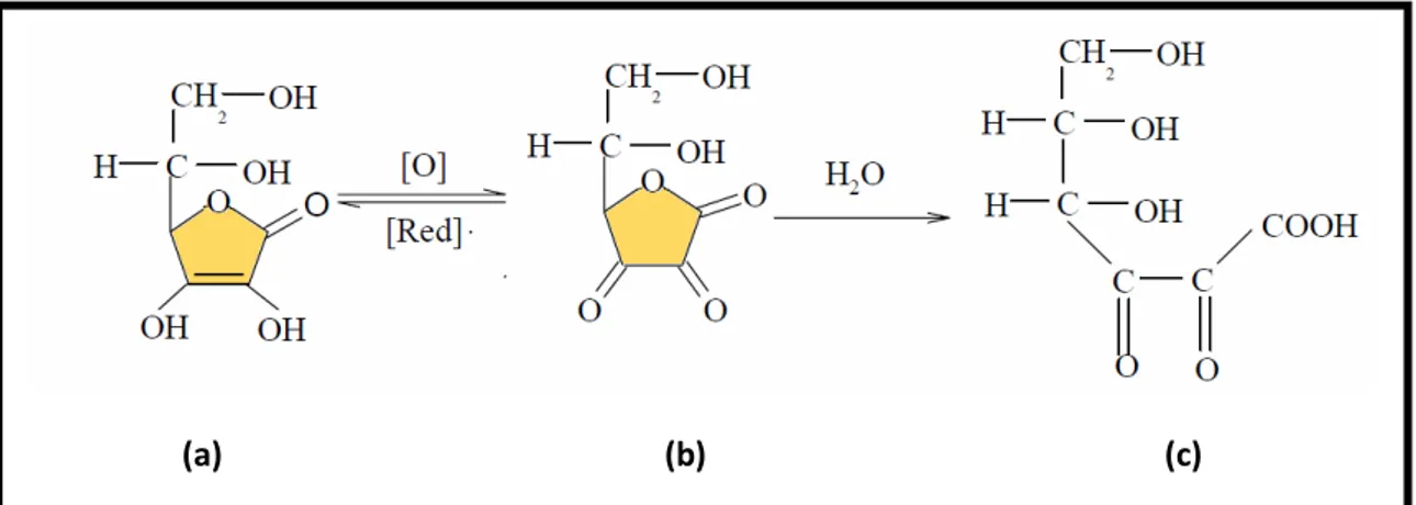 Figura 3.12: Mecanismo de conversão do ácido ascórbico (AA) a ácido 
