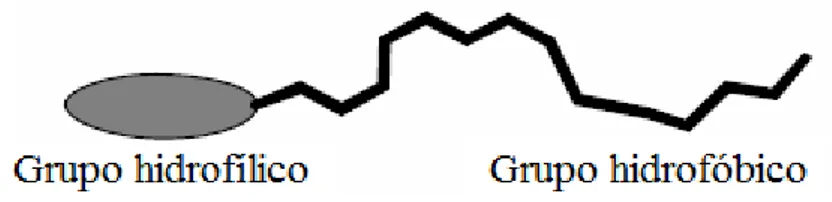 Figura 03: Representação da estrutura de uma molécula de tensoativo. 