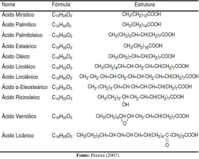 Tabela 02: Alguns ácidos graxos comuns presentes na composição dos óleos vegetais. 