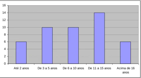 Figura 6 – Experiência dos respondentes na área de eficiência energética 