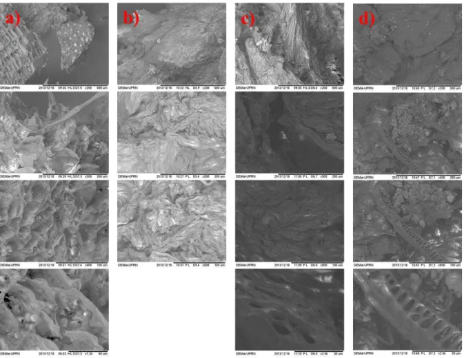 Figura 4.1 - Fotografias em microscópio eletrônico de varredura da palma miúda (a) in-natura  e pré-tratada nas rotas (b) peróxido alcalino, (c) alcalino e (d) ácido-alcalino