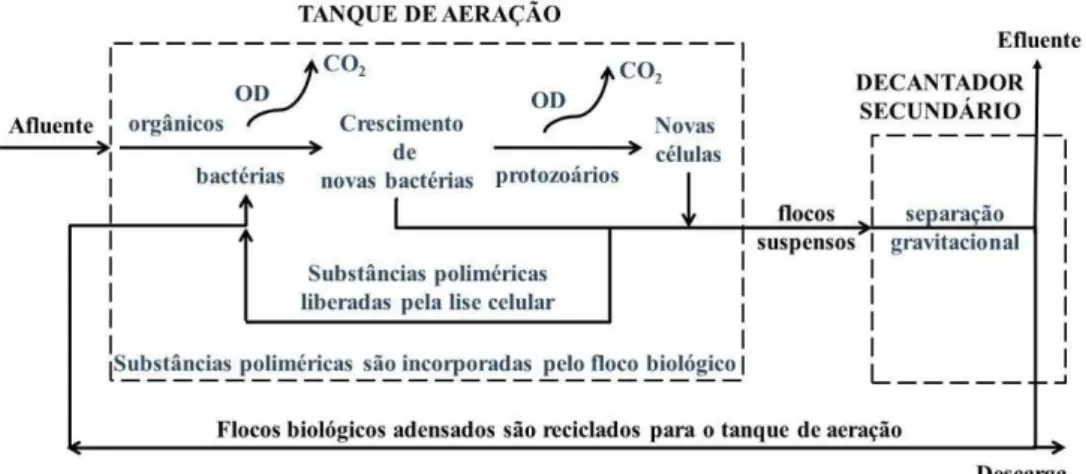 Figura 2.2  – Processo biológico aeróbio de lodos ativados (Hammer &amp; Hammer Jr., 1996)
