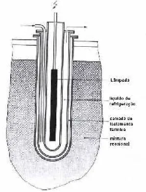 Figura 2.2. Esquema de um reator fotoquímico de imersão.  Fonte: Braun, Maurette, Oliveros (1991)