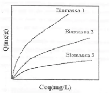 Figura 2.5: Isotermas de equilíbrio