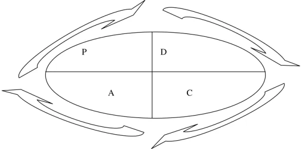 Figura 10: O ciclo PDCA   Fonte: Campos (1998.) 