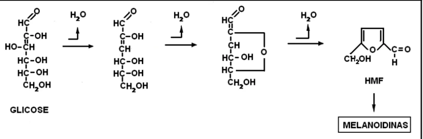 Figura 2.6. Reação de Caramelização (Araújo, 1999). 