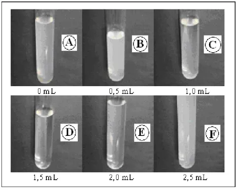 Figura 4.3. Clarificação do suco de caju diluído (1:2) utilizando solução de gelatina a 5%