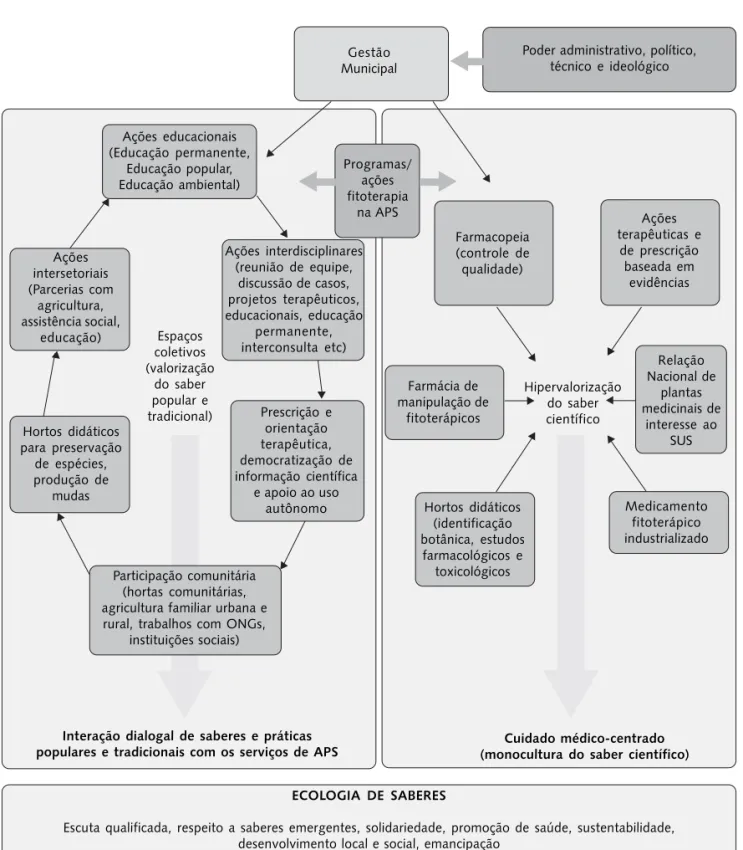Figura 2. Enfoques, características e práticas dos programas e ações de fitoterapia e plantas medicinais na APS brasileira.