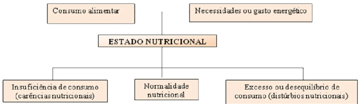 Figura 2: Representação em diagrama conceitual do Estado Nutricional. Fonte: Vasconselos (2008, pág