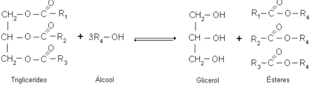 Figura 2. 4 - Esquema ilustrativo da reação de transesterificação para a produção de biodiesel