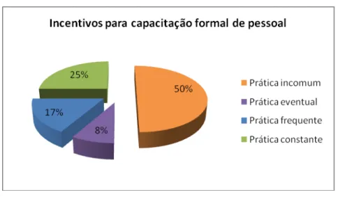 Gráfico 07  – Incentivos para capacitação formal de pessoal  Fonte: Dados da pesquisa 