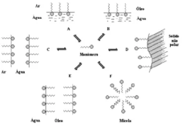 Figura 2.20. Representação das atividades de moléculas anfifílicas. 