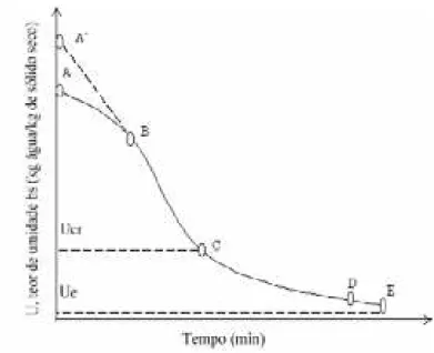 Figura 10 - Teor de umidade versus tempo de secagem. 