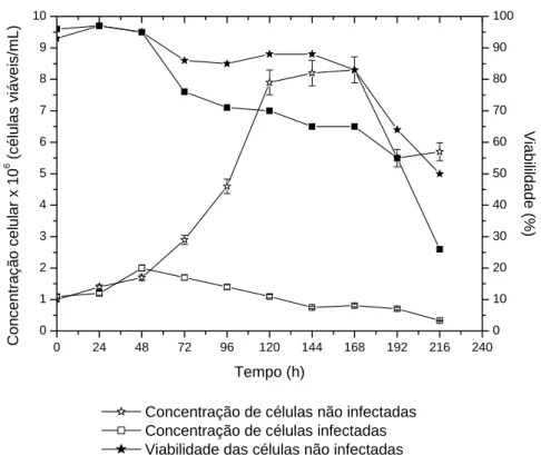 Figura 5.4. Teste preliminar de infecção com VDP em células Sf9 (HyClone + 5%SFB) 