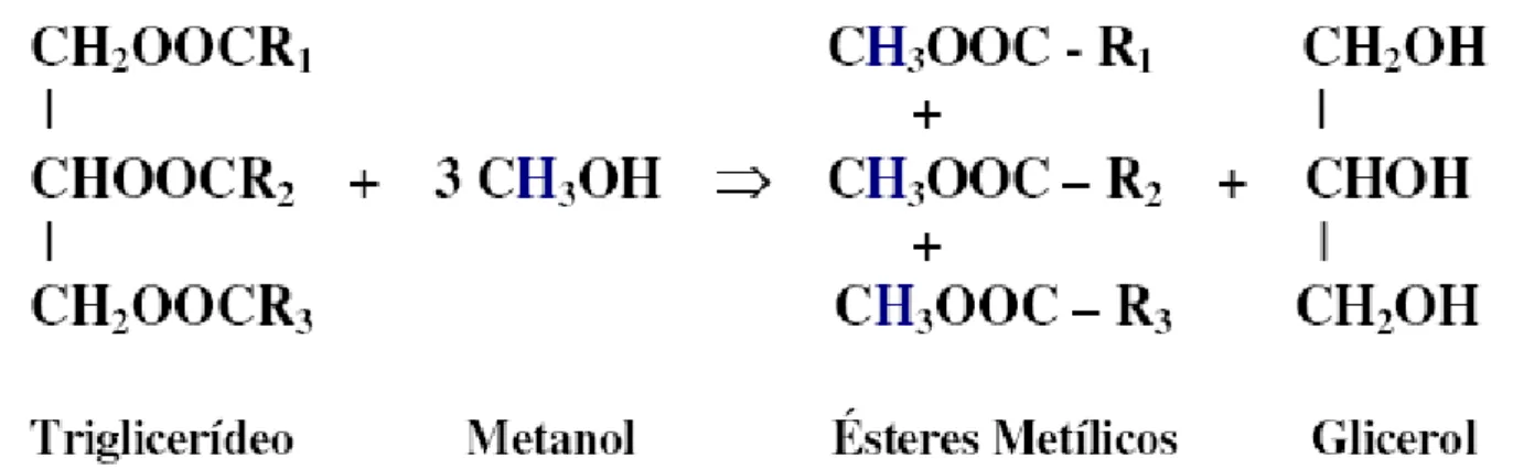 Figura 1 - Reação de alcóolise (metanólise) de um triglicerídeo, resultando na formação de  ésteres metílicos ou biodiesel (B100)