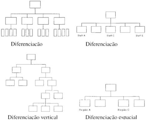 Figura 5:  Tipos e Graus de Diferenciação. Fonte:  Bowditch e  8uono, op. cit., p.168
