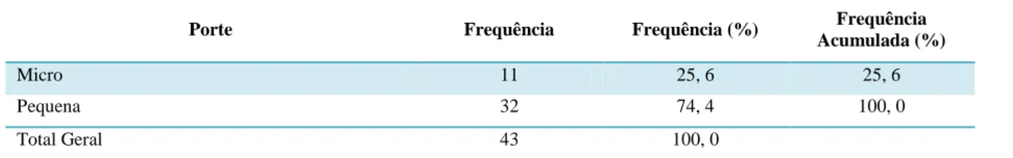 Tabela 4  – Tabela de Frequência, por porte 
