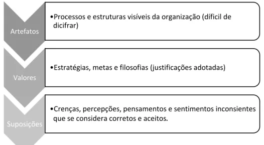 Figura 05 Níveis da cultura organizacional segundo Schein 