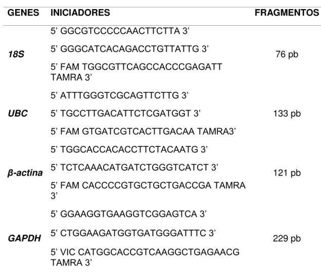 TABELA  1  –  Iniciadores  e  sondas  utilizados  para  a  seleção  do  gene  de  referência