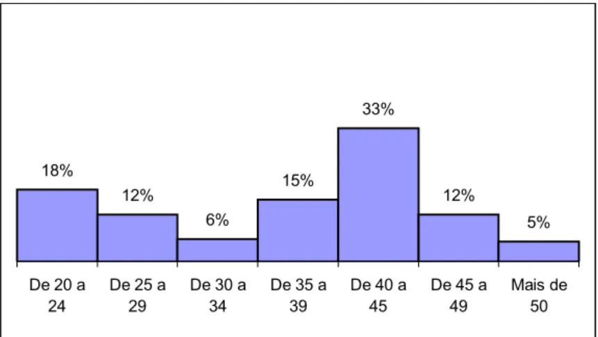 Figura 4.5. Distribuição dos funcionários por faixa etária 
