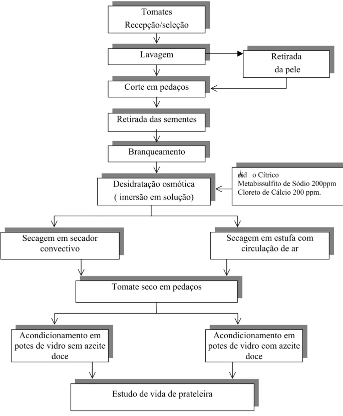 Figura 4.1: Fluxograma básico do processamento de desidratação com pré-tratamento osmótico