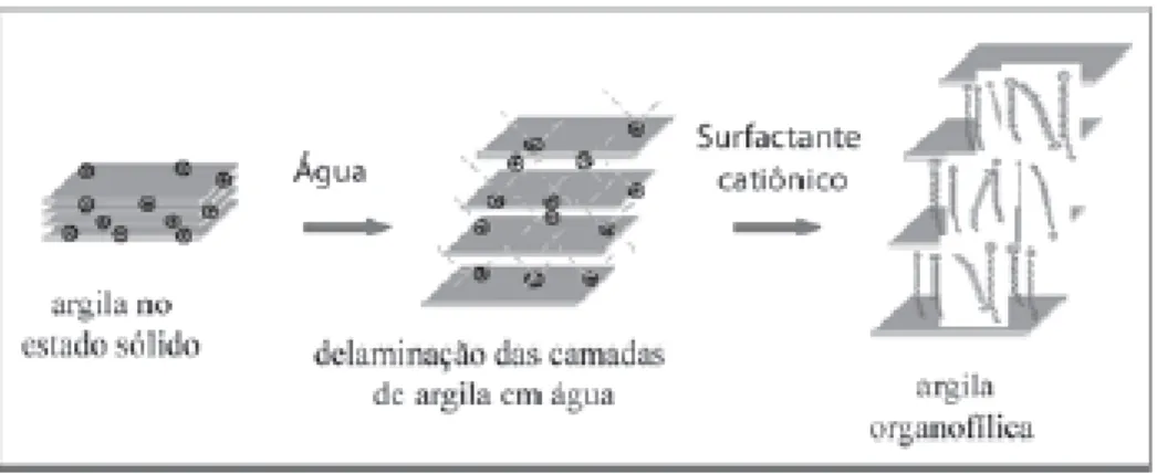 Figura 2.7: Representação da troca de cátions na argila   Fonte: Paiva, Morales e Díaz, 2008 
