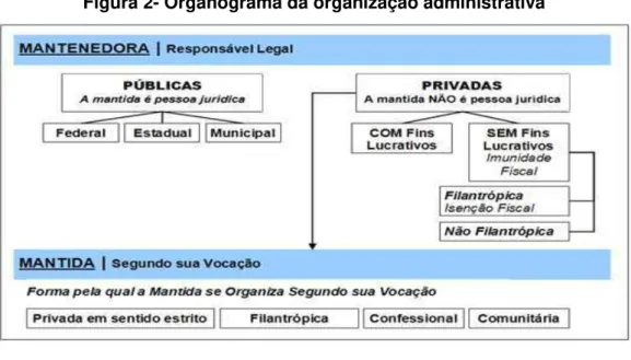 Figura 2- Organograma da organização administrativa 