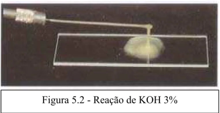 Figura 5.2 - Reação de KOH 3% 