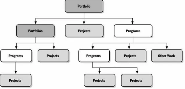 Figura 05: Relação entre Projetos, Programas e Portfólio  Fonte: PMI (2006) 