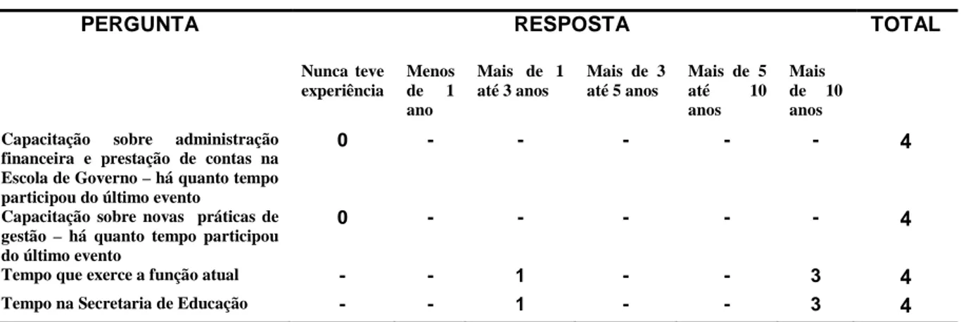 Tabela 3 – Resumo das respostas a entrevistas com as gestoras da área financeira 